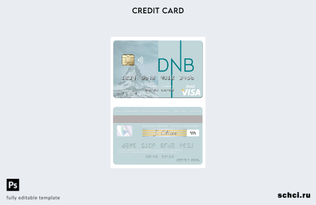 цифровая загрузка шаблона дебетовой карты Visa Литвы DNB Bank